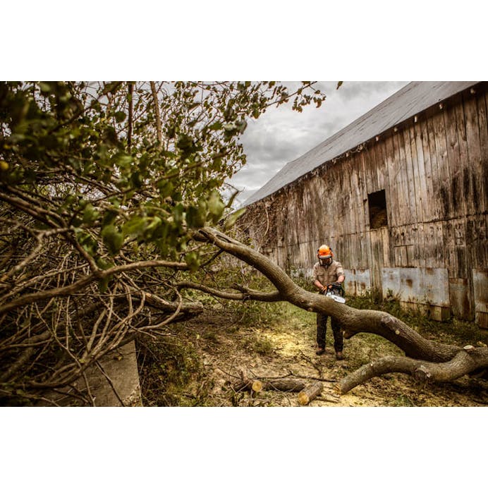 STIHL® MS 362– Barry's Power Equipment