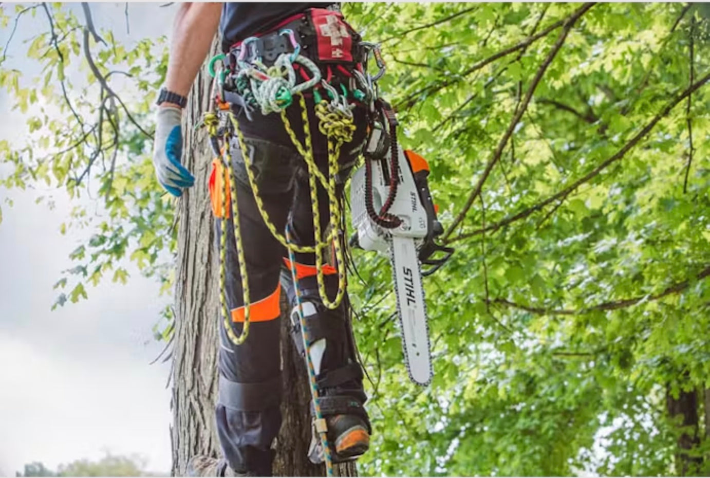 MS 201 TC-M W/12" B & CSINGLE PACKED)