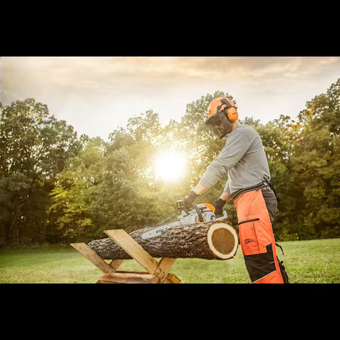 160087b1-7dc6-4590-1080-08dcabeed7de