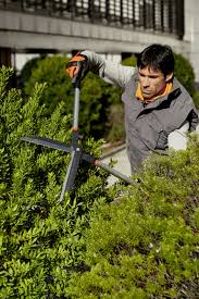 7010 881 3608 – STIHL Precision Hedge Shears