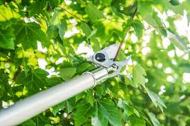 7010 871 0407 – STIHL PP 101 Long Reach Pruner