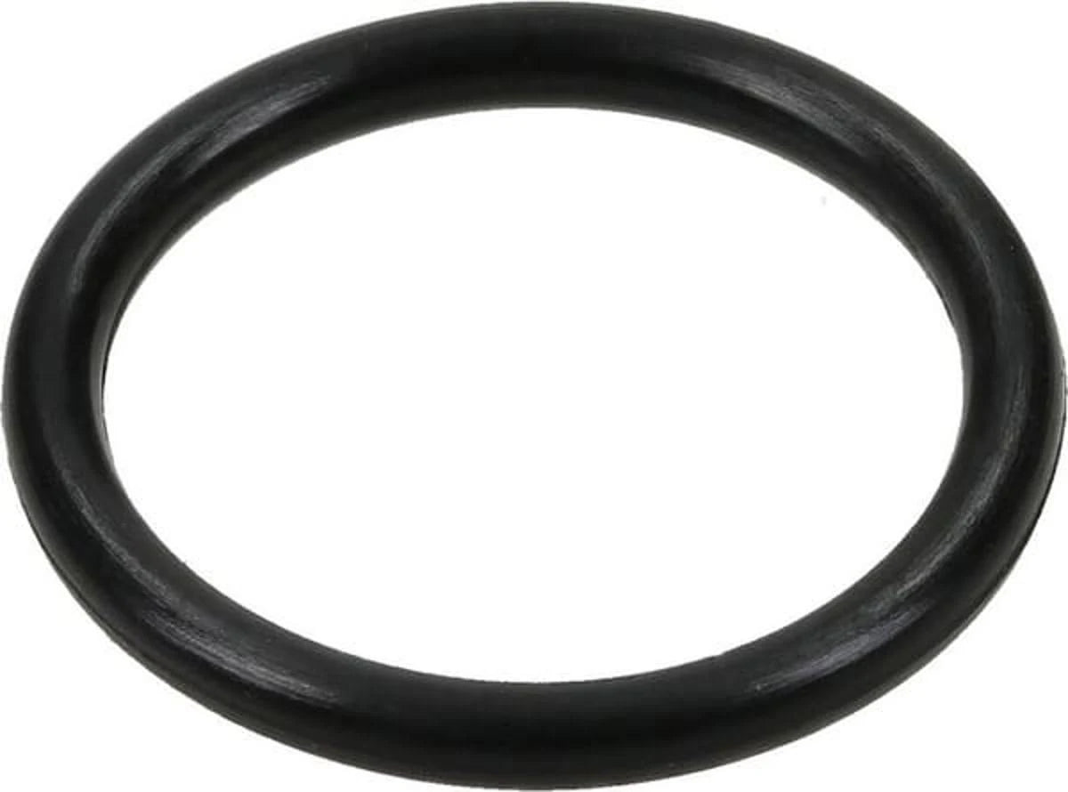 796863 – Briggs & Stratton O-Ring Seal (Genuine OEM Part)