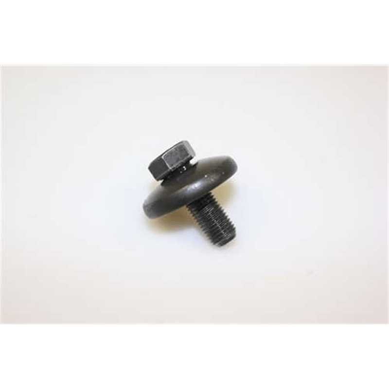 21546301 Bolt / Washer Assembly