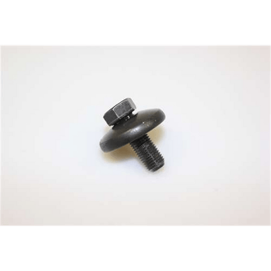 21546301 Bolt / Washer Assembly