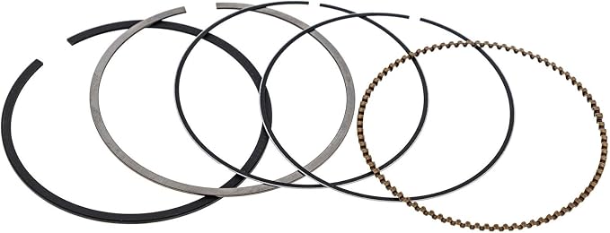 127-9260 – Piston Ring Set (4DW) (Genuine OEM Replacement Part)