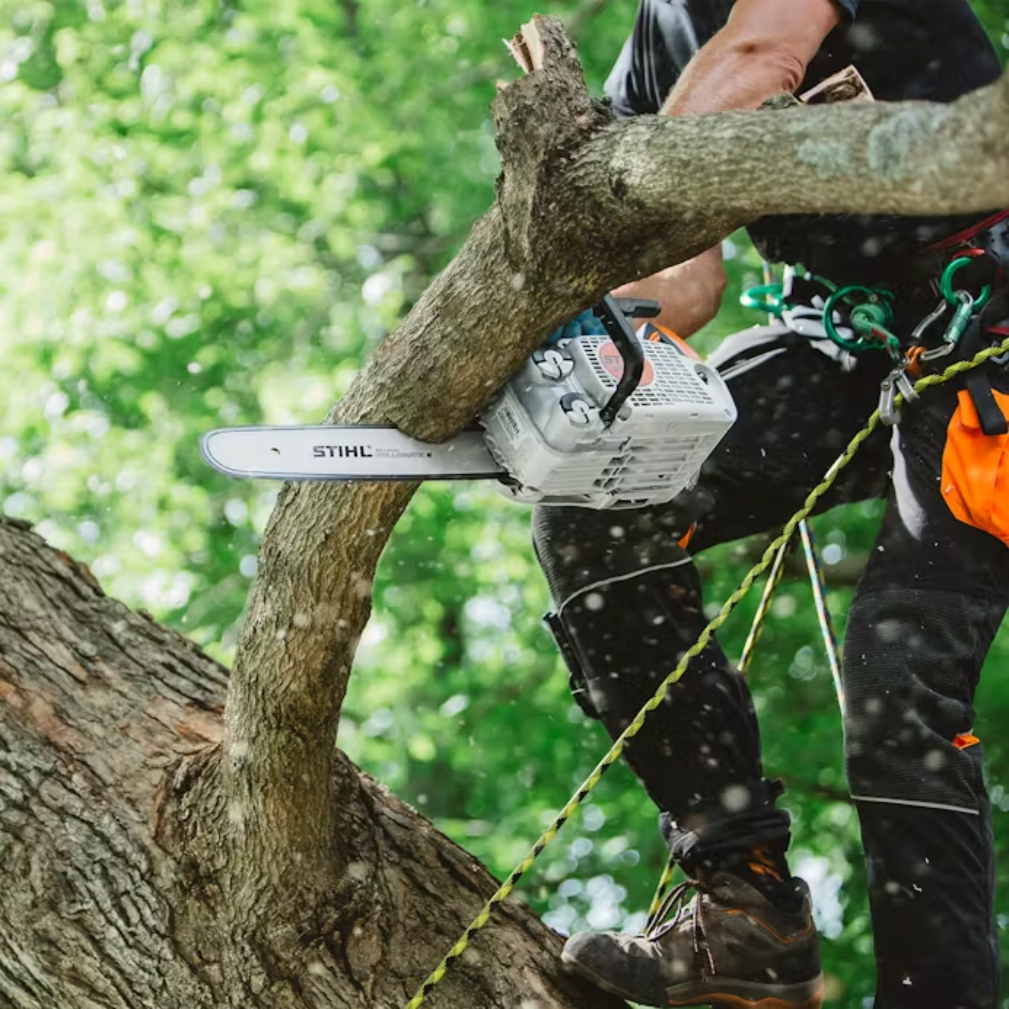Stihl MS 151 T C-E– Barry's Power Equipment
