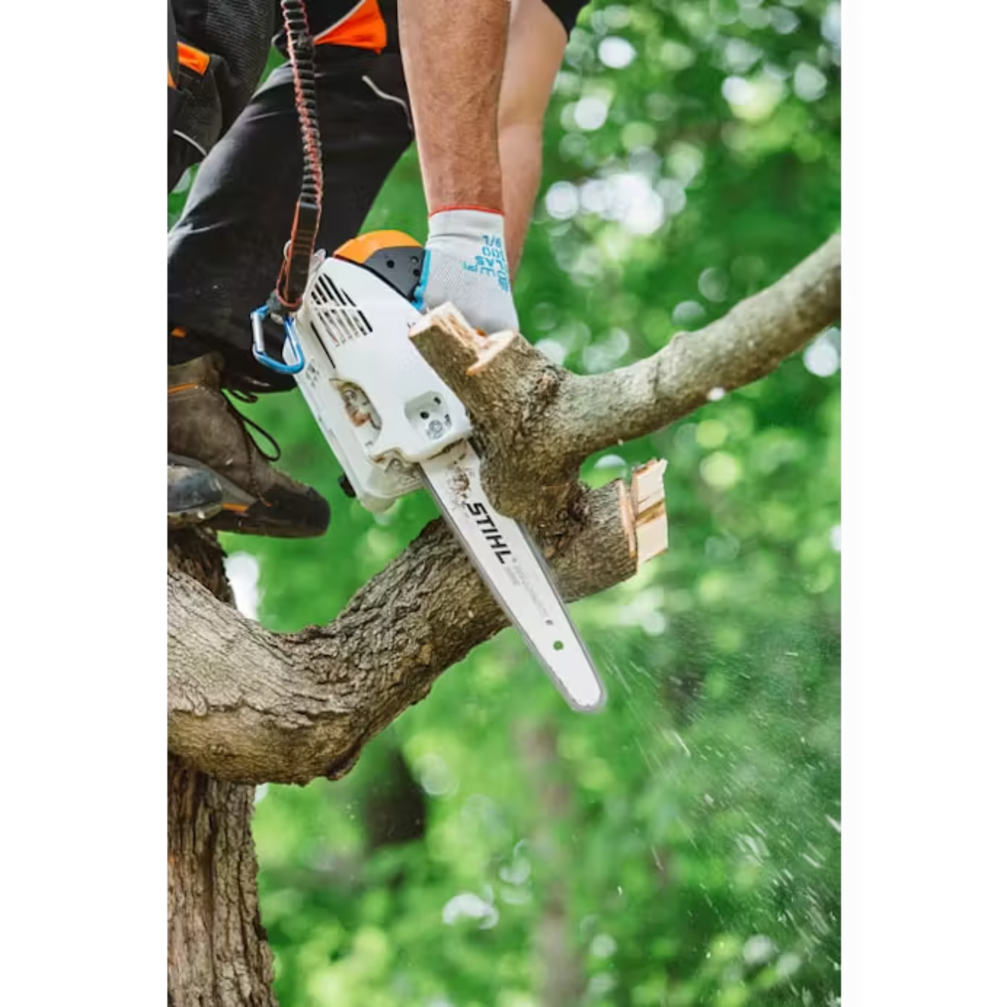 Stihl MS 151 T C-E– Barry's Power Equipment