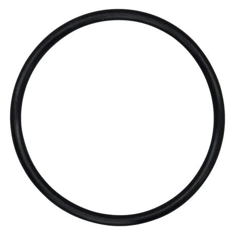 842538 – Briggs &amp; Stratton O-Ring Seal (OEM)